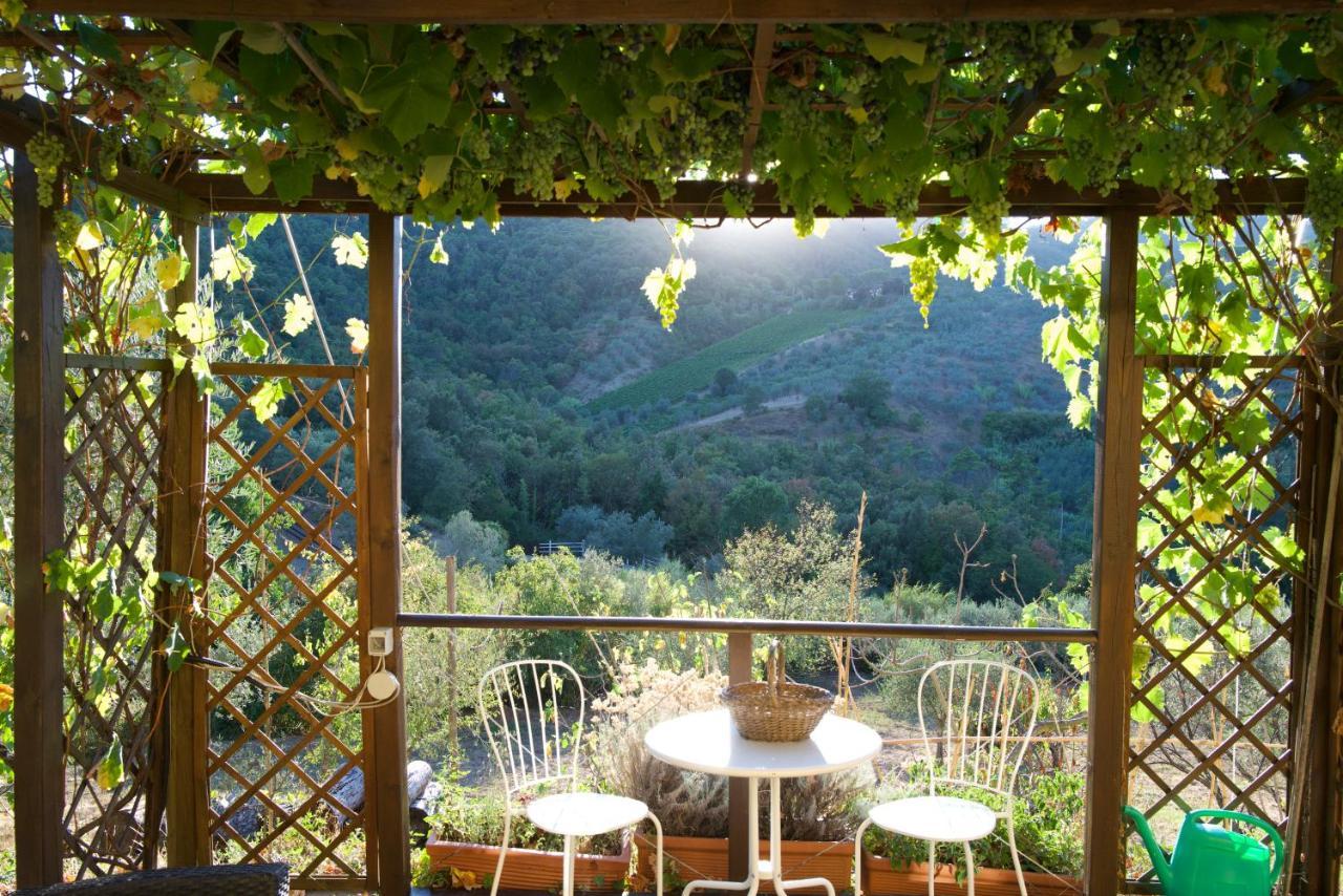 Barco Mediceo B&B In Toscana Карміньяно Екстер'єр фото